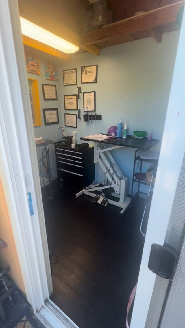 Happy New Year Everyone!🎉
1,408 cat grooms 171 dog grooms and 261 new clients later, 2025 has been a fun one!
We will be opening back up to start off the new year this Thursday! A few price changes can be found on the website later this week. As I organize, deep clean and update my studio, office hours prior to Thursday are a bit scattered but I will get back to your inquiries as soon as possible with next available openings about 2 and a half weeks out 😺❤️🐾