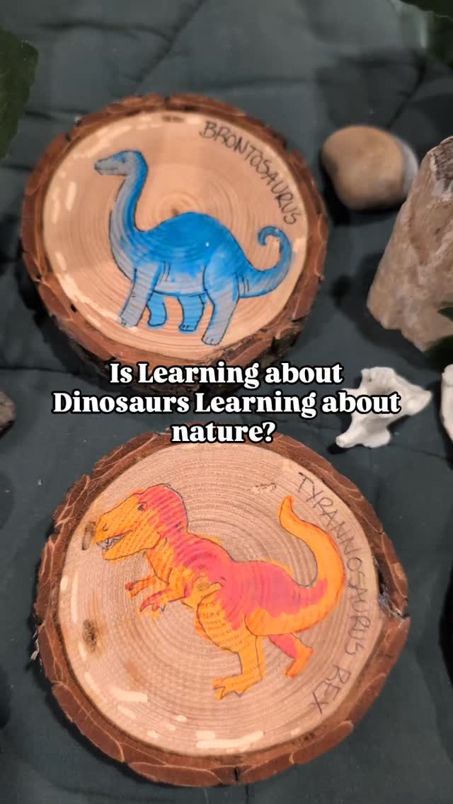 They are here!
🦖🌿 Learning about dinosaurs sparks curiosity, creativity, and a love for science in kids! Using Forest Learning Tools' Dino Fossil Wood Rounds can make sensory trays and play setups more interactive and exciting. Perfect for hands-on exploration and imaginative play, helping little ones connect with our prehistoric past while developing their senses. Let's empower young explorers to discover the world of dinosaurs! #DinosaursForKids #SensoryPlay #ForestLearningTools #EarlyChildhoodEducation #ImaginativePlay