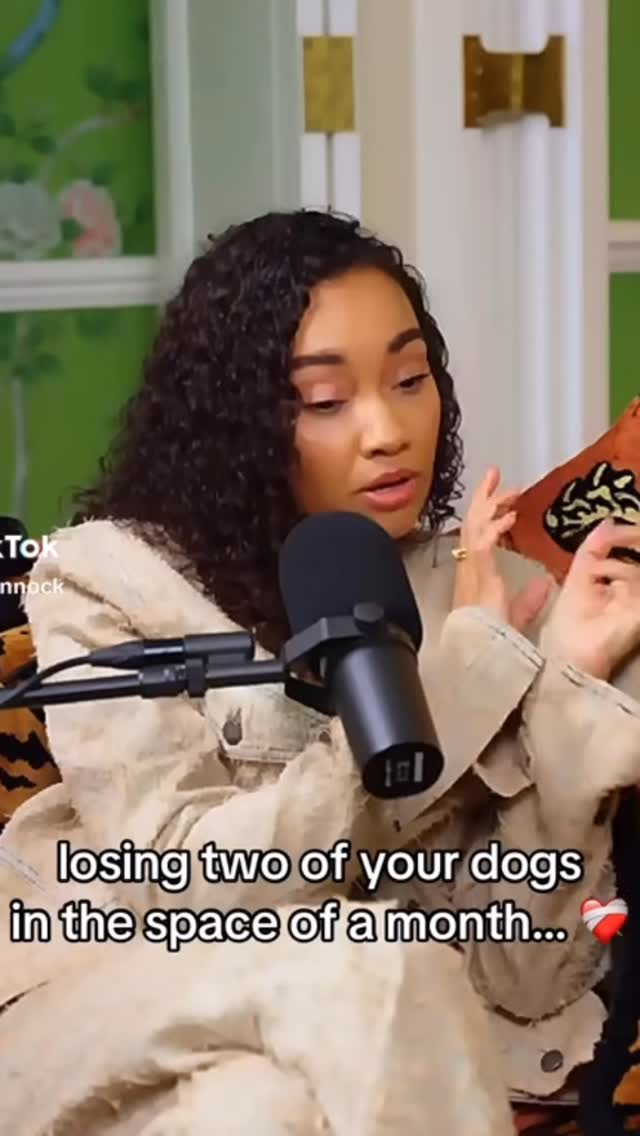 We loved this candid conversation between two UK pop icons @leighannepinnock and @palomafaith particularly the heartfelt segment on pet loss 🪽✨
Leigh-Anne opened up on Paloma’s @madsadbadpodcast about the enormous pet loss she suffered last year after her soul dog Harvey died. Having been by her side since the X-Factor, through the height of Little Mix and into her journey as a mother - Harvey had been right by her side for half her life. Compounding that grief, she shared the tragic news that the new puppy she brought home shortly after Harvey’s passing also died just weeks later. Sending our love to Leigh-Anne and as ever so grateful for the open and unstigmatised discussion about pet loss especially from these two divas💞
#littlemix #leighanne #leighannepinnockedit #palomafaith #dogloss
