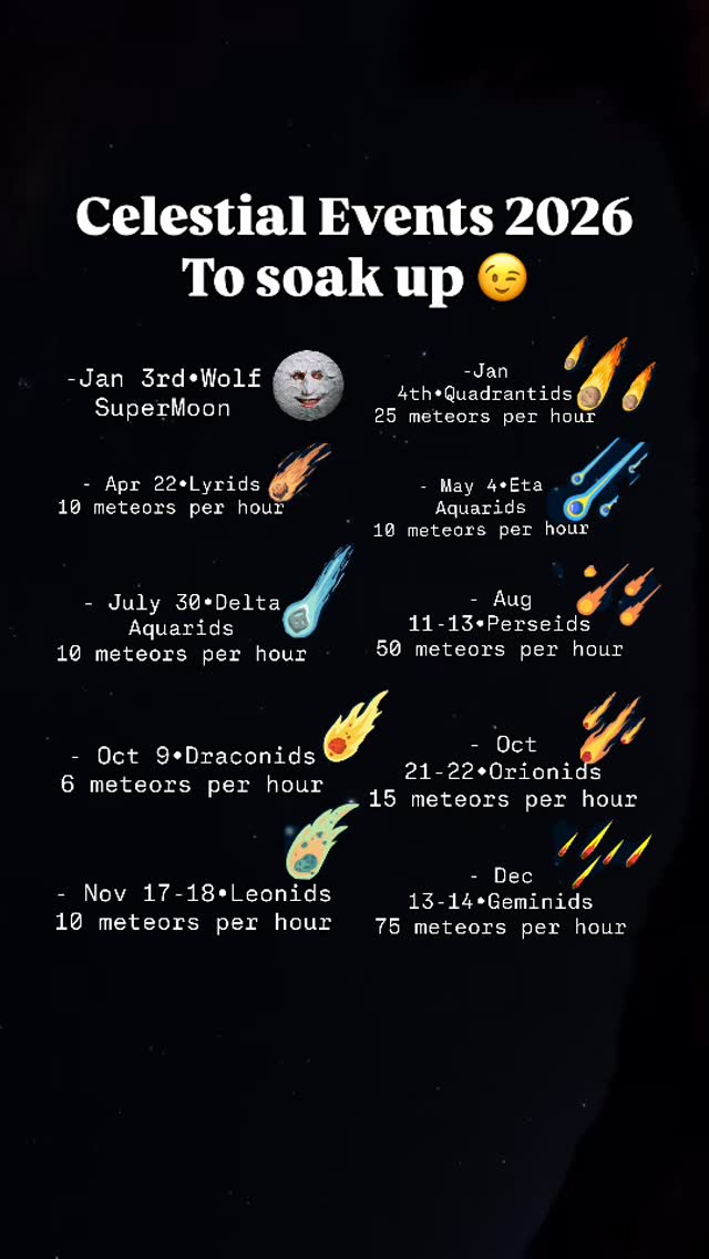 Everything you need to know for a great year.