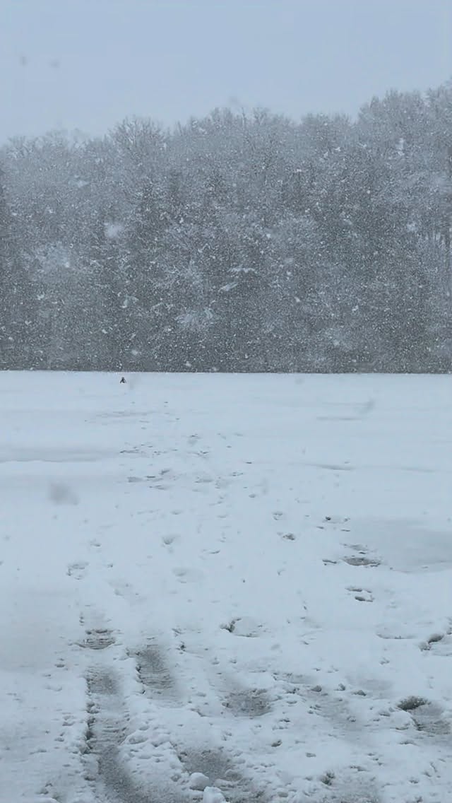 Built for days when the weather tries to shut you down. Firehouse tip-ups protect your hole and stand out in a snowstorm—no guessing where your tip-ups are.
#Snowstorm #firehouseproductsllc #icefishing #walleyes #northernpike #hardwater #coldweather #winter
