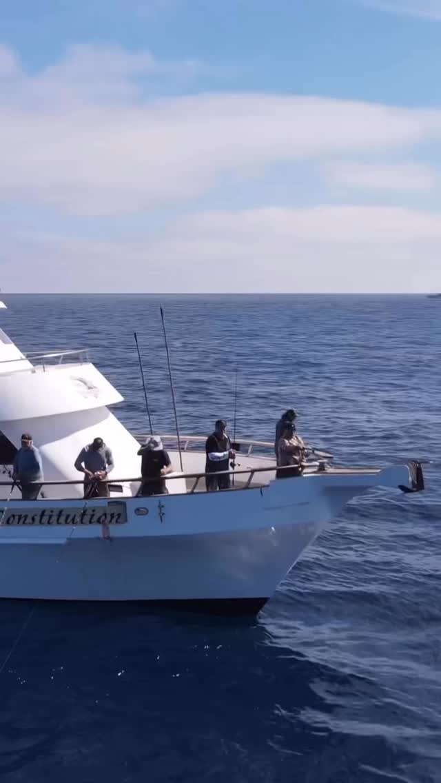 🗓️ Schedule is up for 2026! Click the link in bio or contact Fisherman’s Landing at 619.221.8500 - fishermanslanding.com to book your spot!
Trips include:
•Meals 🍱
•Mexican Permits 🪪
•Bait 🐟
•Bunk 💤
•Wifi 🛜
•10 Boat Loaner Rods 🎣
•Fish Cleaning 🔪
Looking to Book a Private Charter?
📩 Message us directly or call our office at 619.901.4221 for availability and reservations.
.
.
.
#fishermans_landing #offshorefishing #fishing