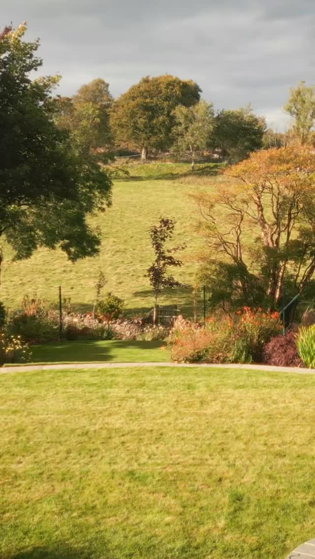 ✨ Project Spotlight 6: A Garden Reclaimed from the Slope ✨
Completed in Bridge of Weir, this once steep and unusable garden was transformed into a series of beautifully connected, level spaces designed to be enjoyed at every turn. Thoughtful terracing created practical lawn plateaus, while fine stonewalling and carefully placed feature boulders now anchor the landscape naturally into its setting.
Define stone paired with grey promenade sandstone gives the steps and pathways a timeless, grounded feel. As you move through the garden, a hidden greenhouse area emerges like a secret retreat, framed by informal boulder steps, richly planted borders, and productive vegetable beds.
Three years on, it’s a pleasure to return and see how the garden has matured and how well it’s been cared for. A space shaped by land, stone, and craftsmanship, built to stand the test of time.
Professional photography and videography by @_rthomson
Design by @mhairi.auld
🌿 MacColl & Stokes Landscaping
📞 01360 622855
📨 info@ms-landscaping.co.uk
#Landscaping #GardenDesign #BridgeOfWeir #ScottishGardens
#MacCollandStokesLandscaping
