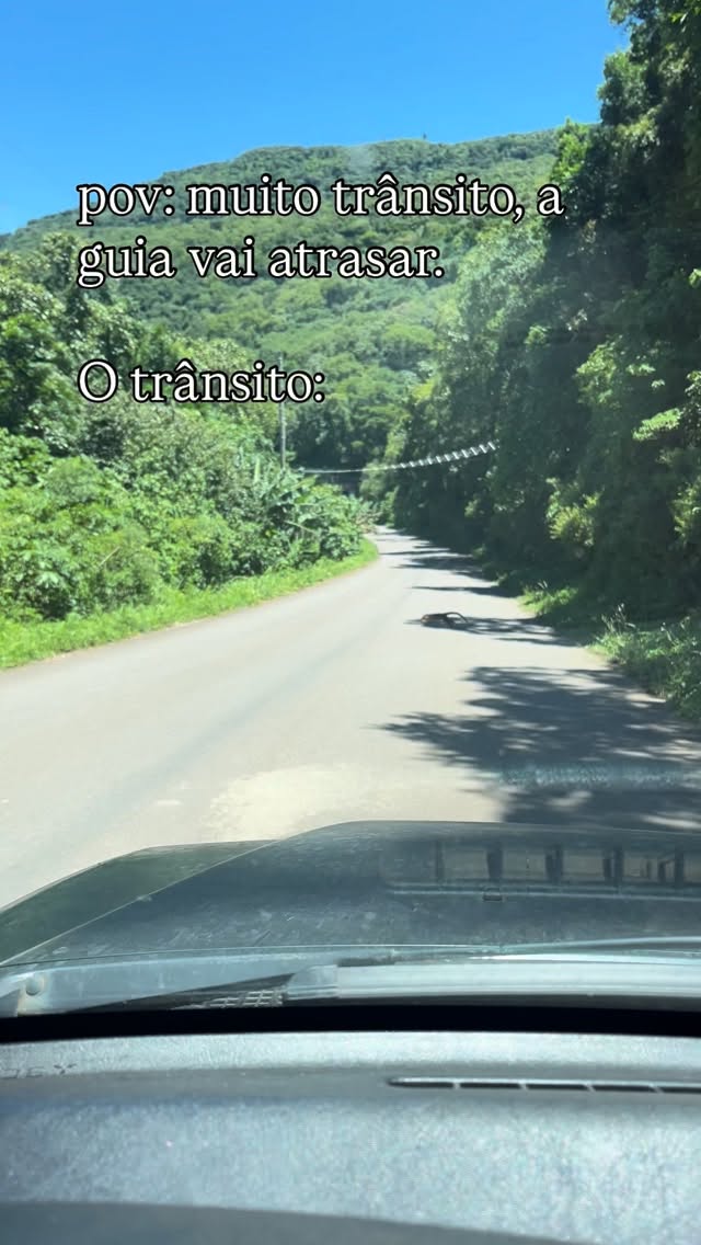 Quatis realizando travessia na Serra do Faxinal na área de entorno dos Parques Nacionais de Aparados da Serra e Serra Geral.
Habitantes da mata atlântica o Quati é um mamífero silvestre, curioso e muito comum nas nossas matas.
Os quatis andam em grupo principalmente por proteção e organização social:
- Segurança: juntos, eles se protegem melhor de predadores
Cuidado com os filhotes: as fêmeas vivem em bando e cuidam juntas dos pequenos.
- Facilidade para achar comida: muitos olhos e narizes ajudam
Comunicação: eles se avisam sobre perigos e alimentos.
👉 Curiosidade: normalmente só as fêmeas e os filhotes andam em bando. Os machos adultos costumam viver sozinhos e só se aproximam do grupo na época de acasalamento.
Preserve a natureza!
#canyonsdosul #ecoturismo #santacatarina #turismonosul #aparadosdaserra