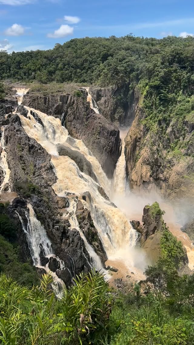 Don’t let the rain dampen your spirits 😜 The mighty Barron comes alive at this time of year 🌧️☔️ Be sure to check it out 🍃🌳
#cairns #barronfalls #wetseason #rainforest #fnq