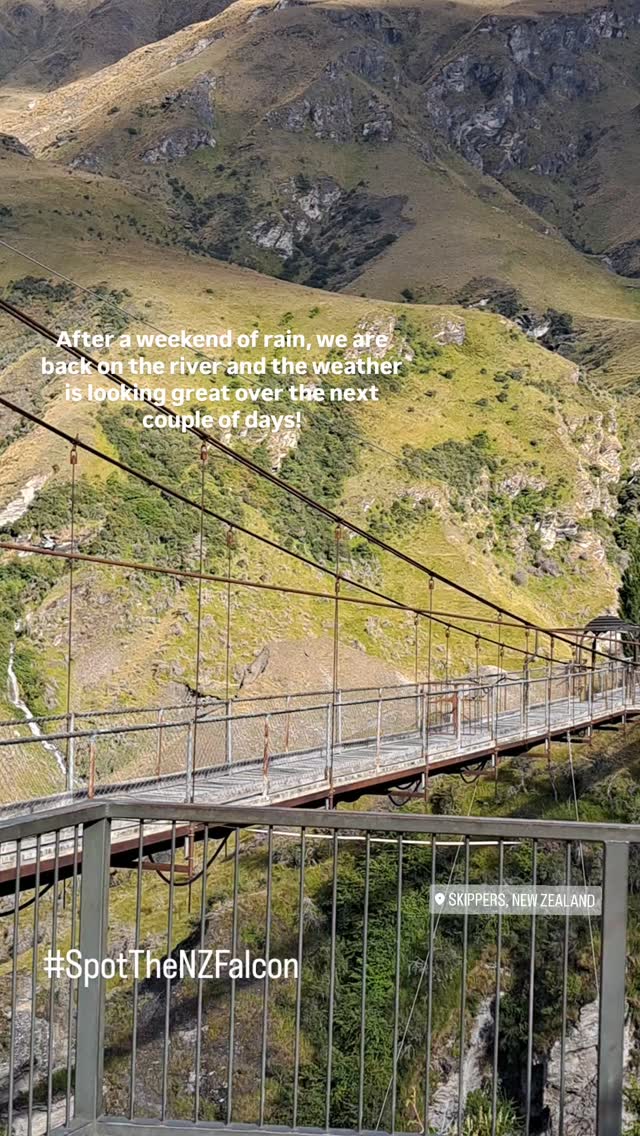Plenty of space over the next couple of days and the weather is looking great. 👌
#familyadventures #rafting #familyfun #shotoverriver #skipperscanyon
