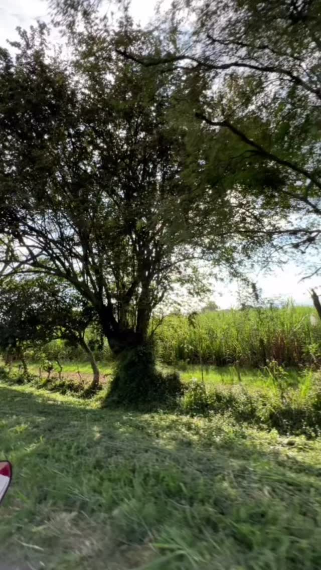 🍃Más que un lote, una decisión inteligente
Patrimonio, valorización y calidad de vida. #bienesraíces #vidacampestre #pradera #lamartina #lotesenventa