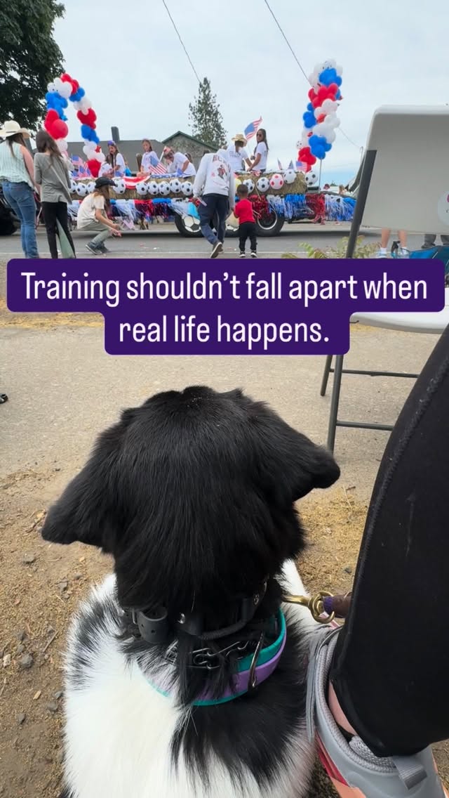 Calm walks, reliable obedience, and dogs that can enjoy life with you — that’s what real-life training looks like 🐾
You deserve a dog you can enjoy and your dog deserves the support and clarity they need to confidently navigate our world. ❤️
Private 1:1 dog training
📍 Salem, OR
DM TRAIN to get started
#BalancedDogTraining #RealLifeDogs #DogTrainingTips #SalemORDogs #privatedogtraining