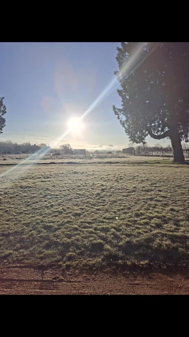 Great day with this one and others @vallis_farm learning all things marketing.
Inspired and excited to be creating our first workshop retreat day this year with @thepleasuretreasury in July 2026
Clitoria Cummings is coming to town ✨️