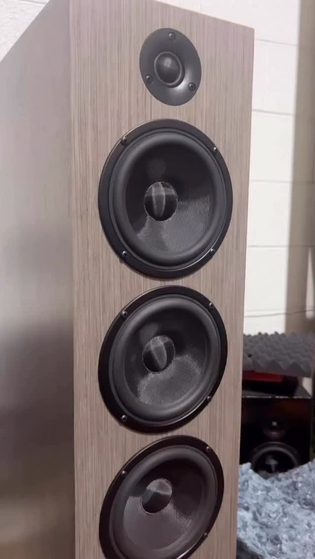 🔊 CSS Torii Tower P2 kit, also available as a sealed cabinet version (Torii Tower S4). Check out all kits at css-audio.com