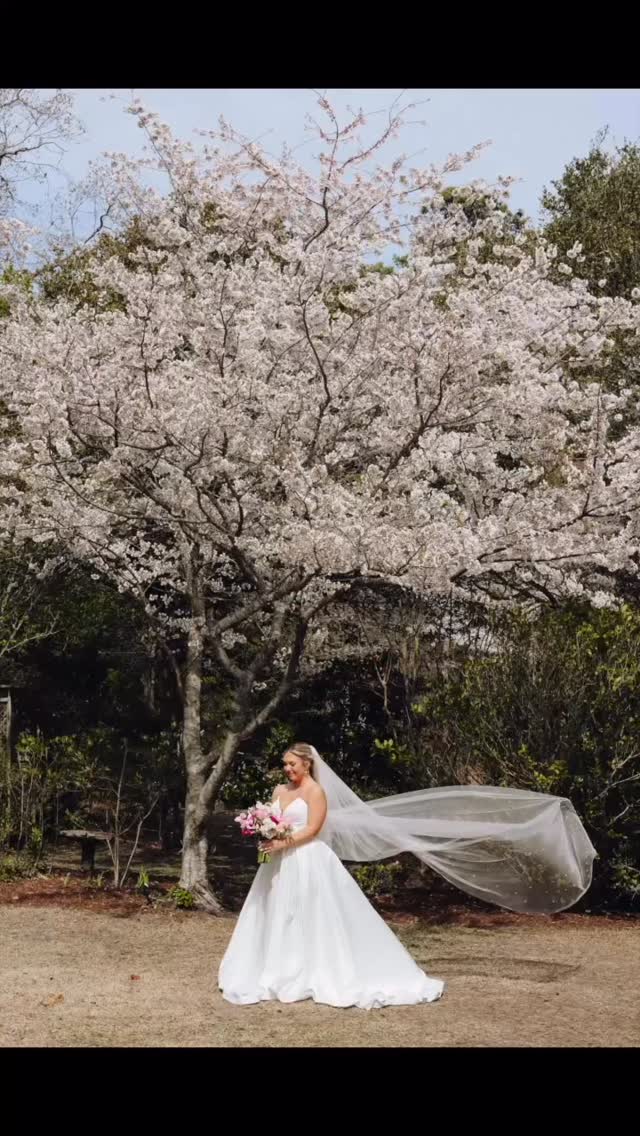 As we kick off the 2026 season this weekend at the Outer Banks Wedding Expo, here’s highlights from 2025! A heartfelt thank you to all the couples that chose to begin their story at our very special place and to all the wonderful vendors who help made all their dreams come true.
#2025recap #obxwa #brideandgroom #weddingvenue #waterfrontvenue #weddingphotography #weddingdecor #obx #weddingwire #theknot #zola #engaged #manteo #2026weddingplanning #weddinginspiration