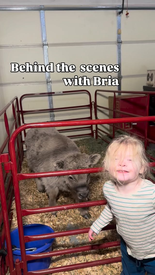 At least she keeps things fun!
#behindscenes #minicow #minihighland #minihighlandcow #lakeportminihighland