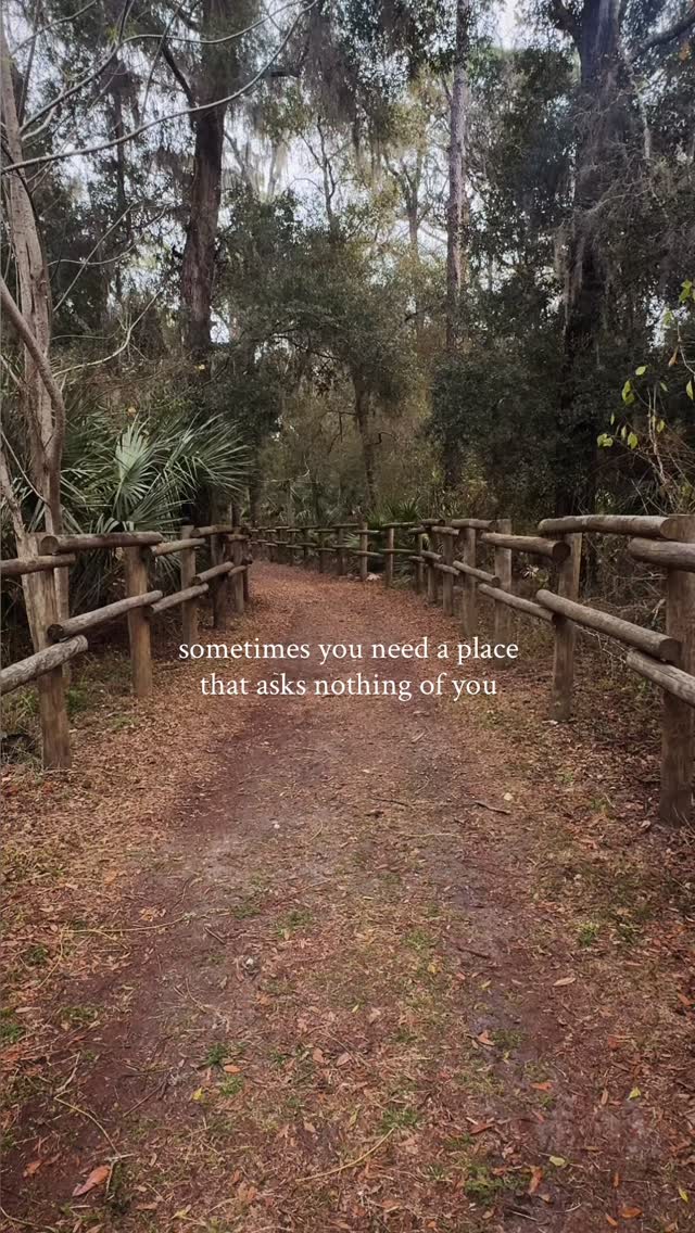 The slower side of Florida
🌳 Jay B Starkey Wilderness Park
•
•
•
•
#oldflorida #floridalife #slowliving #nature
