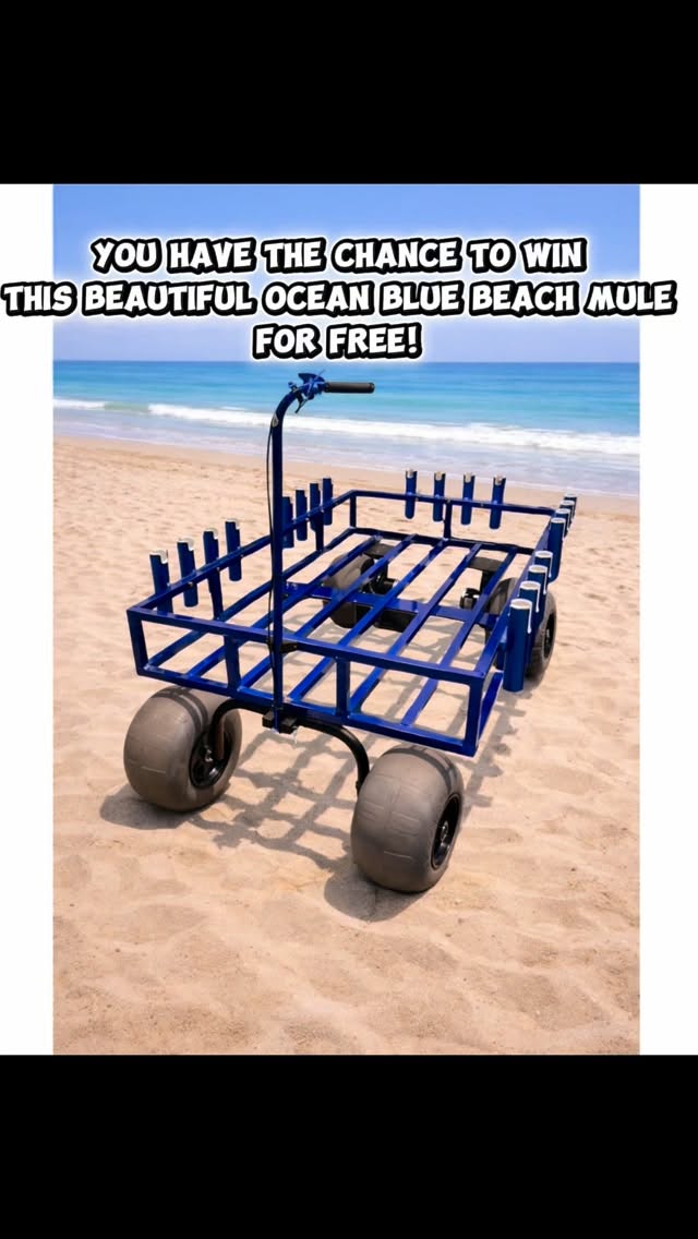 🎁 BEACH MULE GIVEAWAY – HOW TO ENTER 🎁
1 FREE ENTRY
To receive one free entry into the giveaway:
• Follow @thebeachmule
• Like this video
• Share this video with 3 people
That completes your 1 free entry.
WANT MORE ENTRIES?
You can earn bonus entries by purchasing official Beach Mule merch on our website:
• Beach Mule Sticker – $5.99
= 10 additional entries
• Beach Mule T-Shirt – $30
= 40 additional entries
• Beach Mule Hoodie – $45.99
= 60 additional entries
Bonus entries are applied automatically after purchase.
GIVEAWAY ITEM DETAILS
The giveaway unit is the Blue Beach Mule.
Dimensions: 3 ft × 5 ft × 8 in
🏆 WINNER ANNOUNCEMENT
The winner will be announced on Friday, January 23rd, and posted on our page.
All giveaway details are available on our website.
Link in bio.
Good luck 🤝
#beachmule #electric #shopnow #beach #giveaway