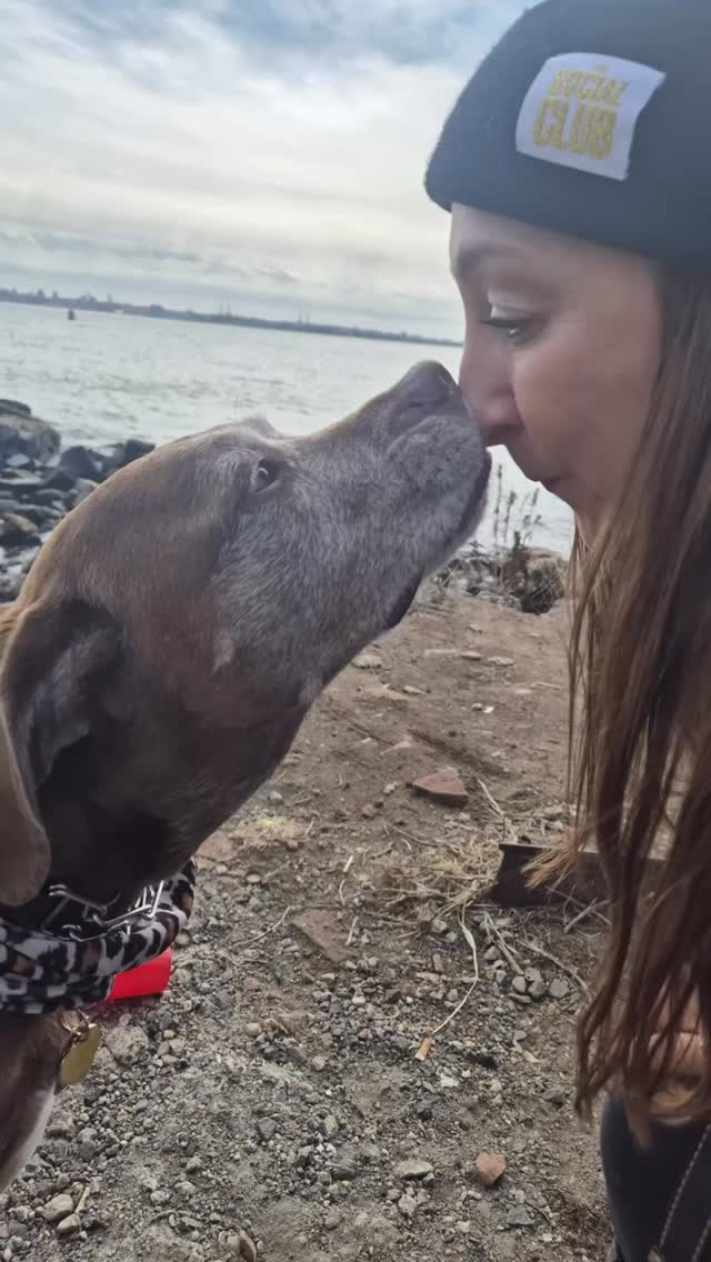 Happy Birthday to my girl Lita! 7 today ... which in dog years actually now makes her a little older than me! 💓🤣🐾✨ She truly is the best!! 🐕👅🫶🏼