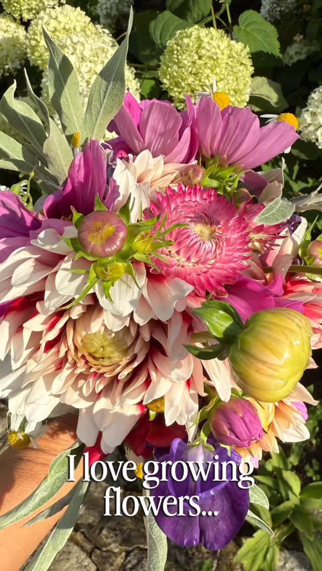 Every bloom begins unseen.
Quiet tending. Patient care.
A new season is being grown