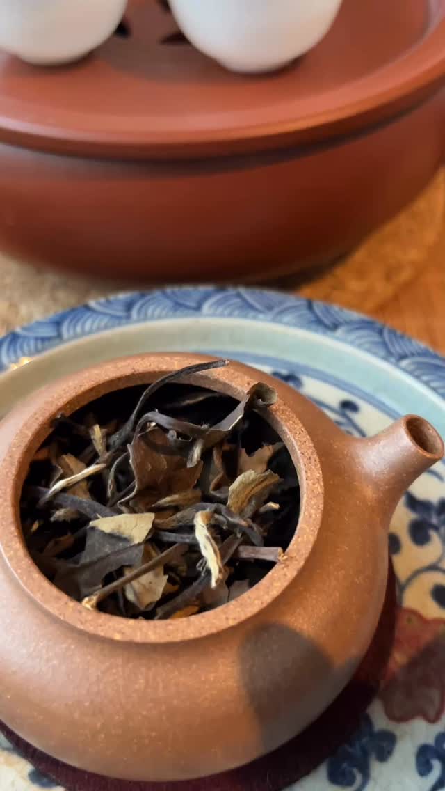 Lately, I’ve been obsessed with Chaozhou gongfu, abandoning the gongdaobei in favor of small teapot and cups for brewing. I've been brewing like this for the past week with oolongs. We all know this method works wonderfully with oolongs, as it’s tailored for them.
Today, I’m curious about how it would handle aged white tea. I tried a 2017 Zhenghe Baimudan, and I found that each small cup revealed much more depth and complexity. The difference in the tea liquors from the first to the fourth brew is quite remarkable. Overall, experimenting with different teas using this technique is fun, especially to experience more intense flavors. However, it’s not recommended for everyday, long-term brew—your kidneys deserve a break. 🤭
#gongfucha #chinesetea #agedwhite #oolong