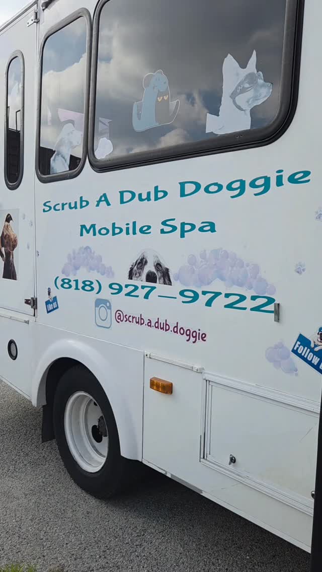Welcome to Scrub A Dub Doggie Mobile Spa 🐾 Calm, trust-based, one-on-one grooming delivered to your doorstep. Whole-dog wellness, creative grooming, and peaceful care—because it’s more than just a spaw day ✨ #smallbusinesssfv #scrubadubdoggiemobilespa #smallbusiness #sfvdogs #tarzanadogs
