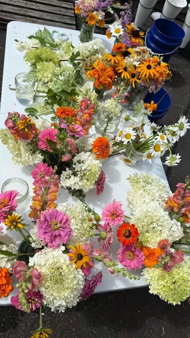 If you’re getting a bit down about winter seeing we are sitting in -20s 🥶. This is a little reminder that the flowers will bloom again and summer is going to come warm us up. ☀️🍓