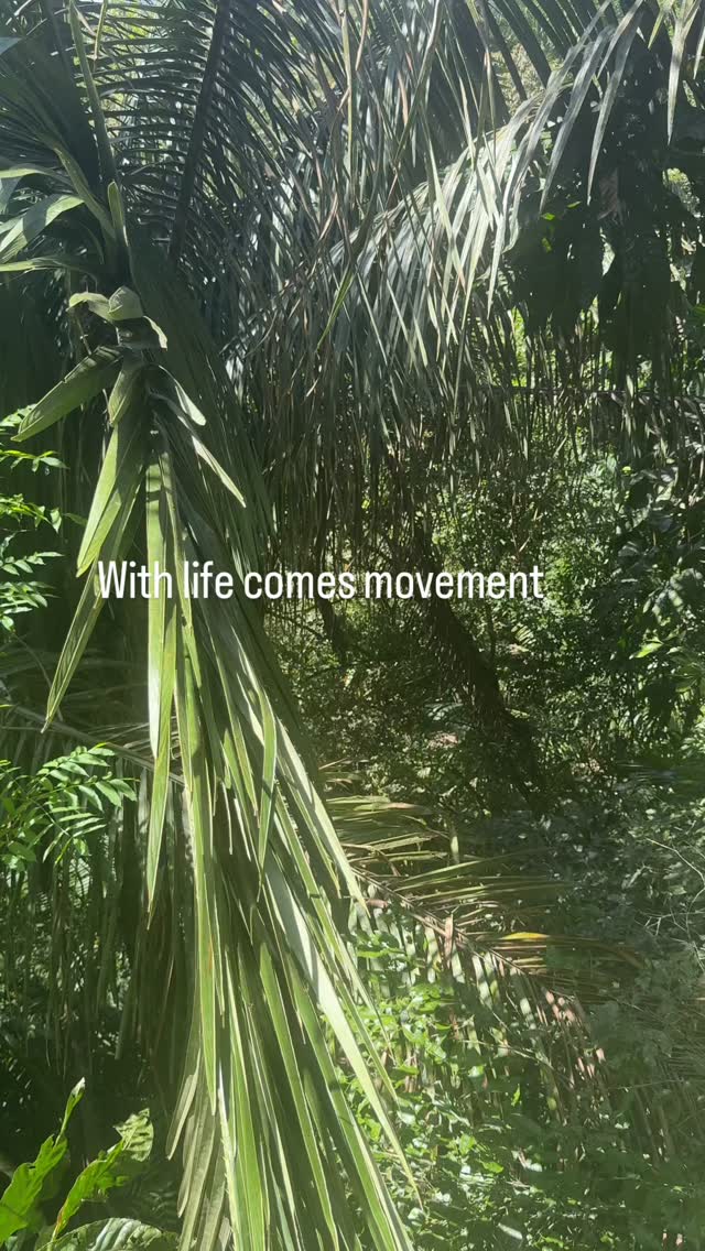 With movement comes growth 🫶 🌱
