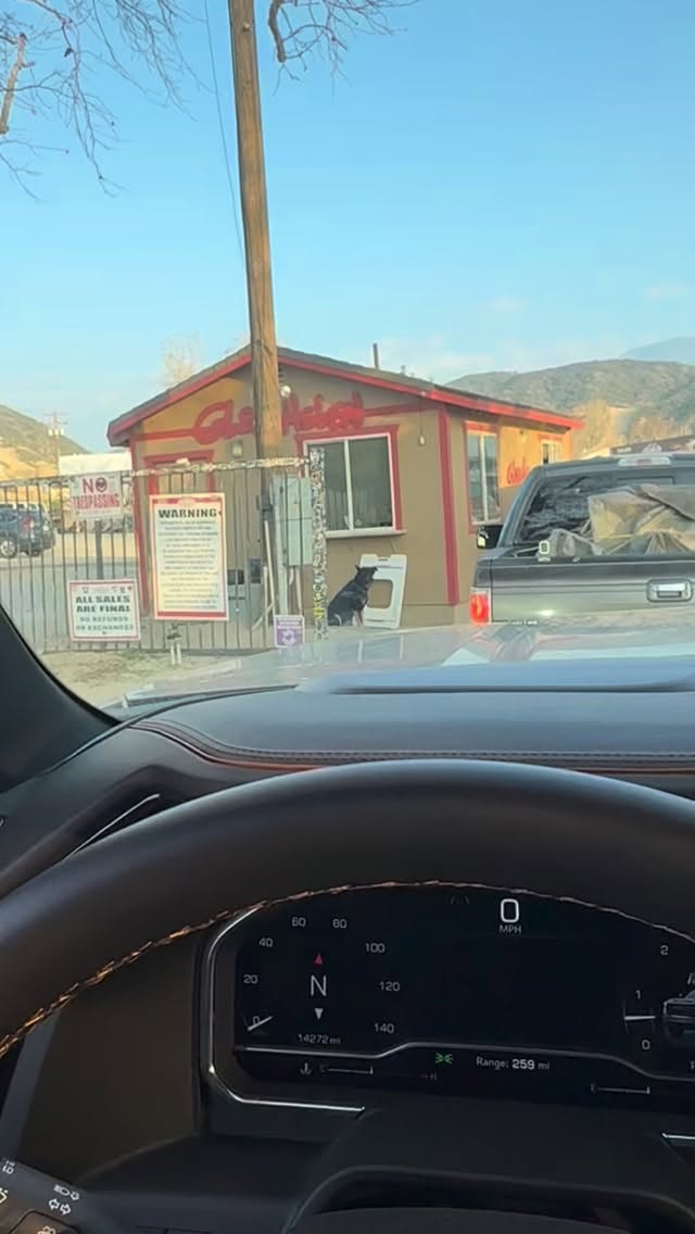 And just like that, In the blink of an eye, They are grown..
💜
@glenhelenraceway
#kids #teens #helmet #helmetsafety #corbinwaynefoundation