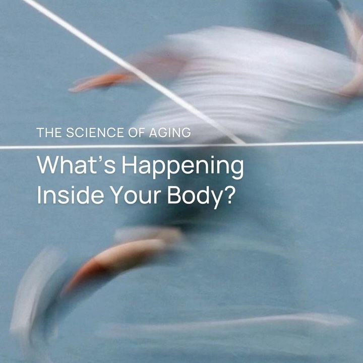 Ever wondered what's happening inside your body as you age?
Aging starts at the cellular level, but the great news is-you have the power to slow it down!
From boosting your cell health to protecting your DNA and telomeres, small actions today can lead to a healthier tomorrow.
Let's take control of the aging process together and live better, longer!
.
.
.
#biocompass #longevity #longevitylifestyle #longevityroutine #HealthyAging #AntiAging #HealthyLifestyle #MindfulLiving
#AgeGracefully#WellnessJourney#cellularhealth