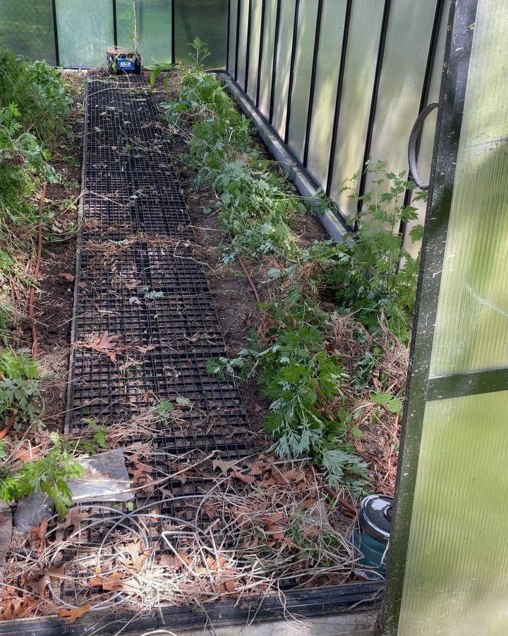 Ran a new manifold and wire to the right side of the customers property for additional future zones. Installed a new rotary zone and a new drip zone
#ample #irrigation #sprinkler #sprinklers #lawnsprinklers #installation #repair