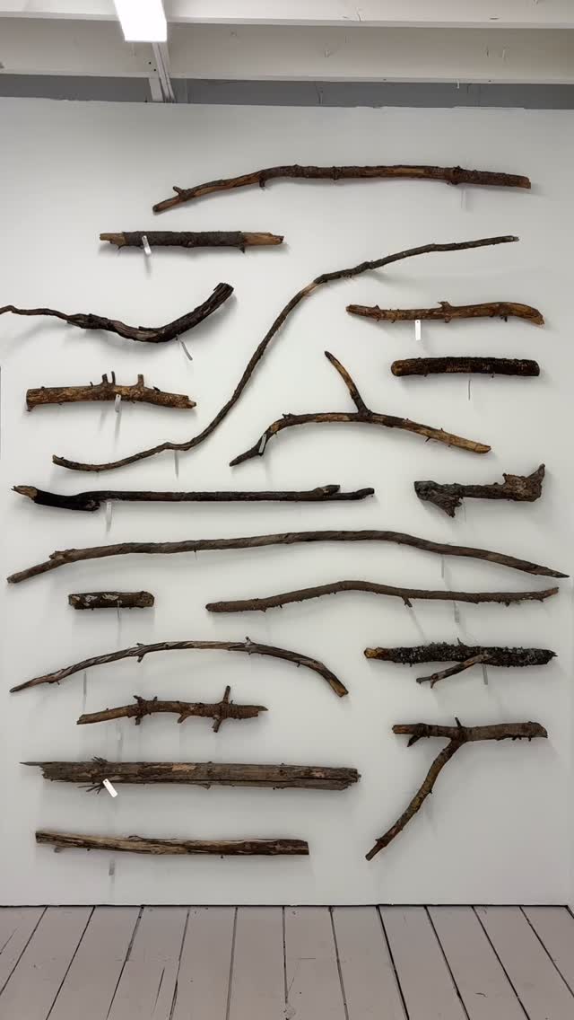 Was able to pop in to @this_______________________ to see Stick Drawings by Carrie Walker ( @mydogsfollowers ). I found myself slowing down and really leaning in—each drawing felt like a hidden landscape, unfolding the longer I spent with it.
#art #artgallery #artistsofinstagram