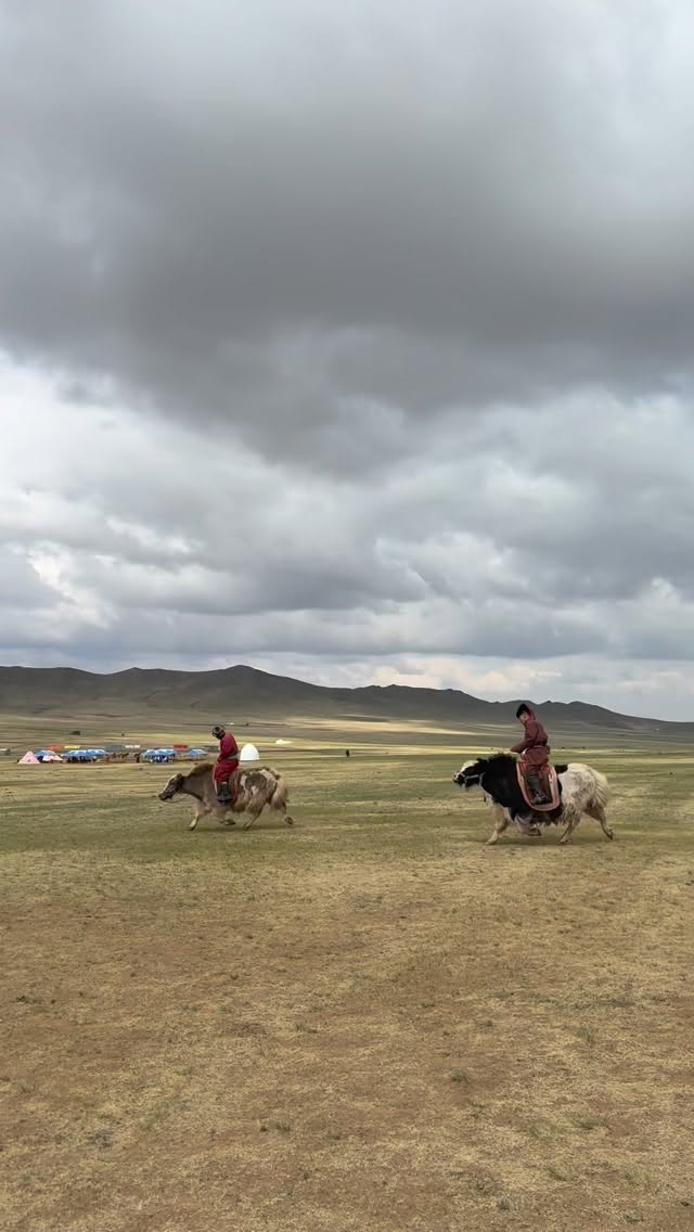 In the Mongolian nomadic lifestyle, yaks and cattle are raised and used for carrying loads and transportation, reflecting a unique culture that lives in harmony with nature.🇲🇳
These traditional practices are still preserved today, making Mongolian nomads truly special and admired around the world. 🌍
This remarkable way of life can only be experienced in Mongolia.✨
Isn’t it amazing? 🤍
Discover more at: https://www.mongoliantour.guide/
#NomadicLife #MongolianCulture #YakLife #enzatoursllc #TraditionalLifestyle #VisitMongolia #Nomads #Mongolia #CulturalHeritage #exploremongolia🇲🇳 #mongoliatravel #mongolianadvanture #mongolnomadicshowcamp