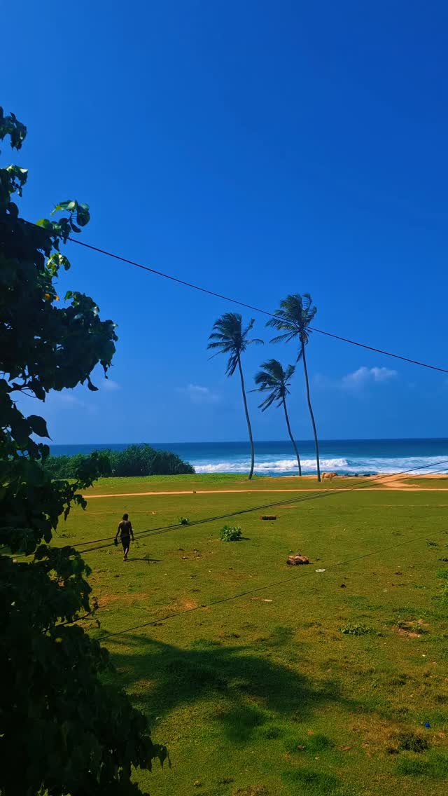When the world feels loud, it's nice to have a place that isn't. Somewhere calm, warm & easy to settle into.
If you've been craving a pause, this is your sign.
#lionsrest #gurubebila #surfsouthsrilanka #weligama #srilankatravel