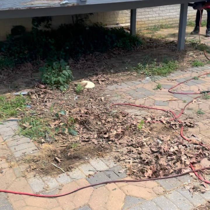 Demolition Project‼️🛠 We Taken Down A Deck & Concrete Paver Platform ✅ Our Dedicated Technicians Offer Upfront Free Estimates & Same-Day Services👌🏽🖤📈💯
Call Us 📞 at (301) 337-1527 or Book Online at www.asapdumpstersandhauling.com
•
•
•swipe left 👈🏼
•
#demolition #home #deck #backyard #patio #concrete #pavers #construction #debris #renovation #washingtondc #pgcounty #charlescountymd #dumpster #hauling #asap