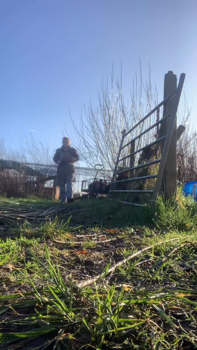 Last minute cutting of some red erythroflexuosa for the weekend.
I’m getting organised for the @flowersfromthefarm conference this weekend at @eastwood_hall in Nottingham.
Are you going?
I’m having a trade stand too this year but with very little space I’m limited in what I can take.
Still it’s a great opportunity to chat and I’ll be amongst other quality floral / horticultural businesses including
@halliesphere
@niwaki.hq
@fertilefibre
@senserisksolutions
@containerwisetrays
@lsfwholesale
@perennialgrbs
@sylvagrow
@flowergrowercollective
@decowraps
@molesseeds
@lrmhorticulture
@alma.proust
Straight after the conference I’m of to @westhopecollege
but I’ll tell you more about that another day.
Must get on now. Busy busy 🐝 😊