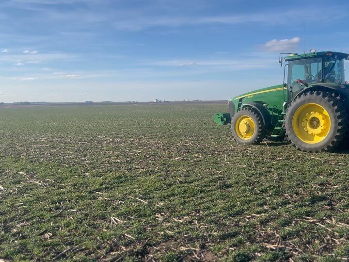 Some of our work lately…it does seem that we work on a lot of green planters.