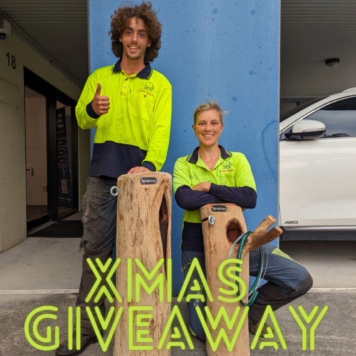 XMAS GIVEAWAY TIME! ππππ§πΌβπ Santa has delivered us two nesting boxes which are handmade by our friends at Habitec to giveaway. These boxes are a token of our sincere appreciation to our customers and future customers of She Trees.
Thank you for your ongoing support!
How to win a nesting box:
BOX 1: We will choose a random existing customer from 2023 who has left us a Google or Facebook review and hang a nesting box at your property
BOX 2: We will choose any new customer from January 2024 who leaves us an online review and hang a nesting box at your property.
These habitat boxes become home to small birds (like lorikeets, pale headed rosellas) and small mammals (like glider possums). π¦π₯π¦ππΎ
If there's nothing living in the boxes after a year, we will come back and move them to another location. π³πΏοΈπ§πΌ
If you would like a quote for any tree pruning or tree removal please call of email She Trees for a free quote π
Happy Christmas and best wishes to all for 2024 from She Trees!