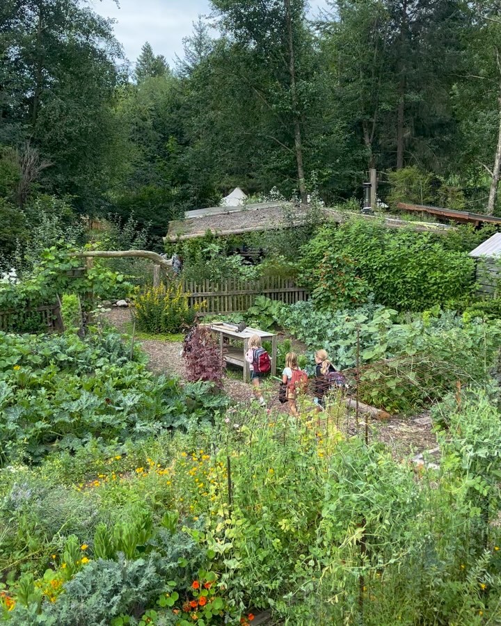 This week at farm camp