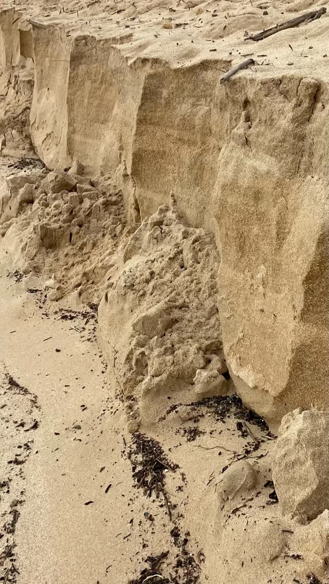 Nature is still inspiring. I can’t avoid it!
#nature #inspiration #sand #horselife #beachlife