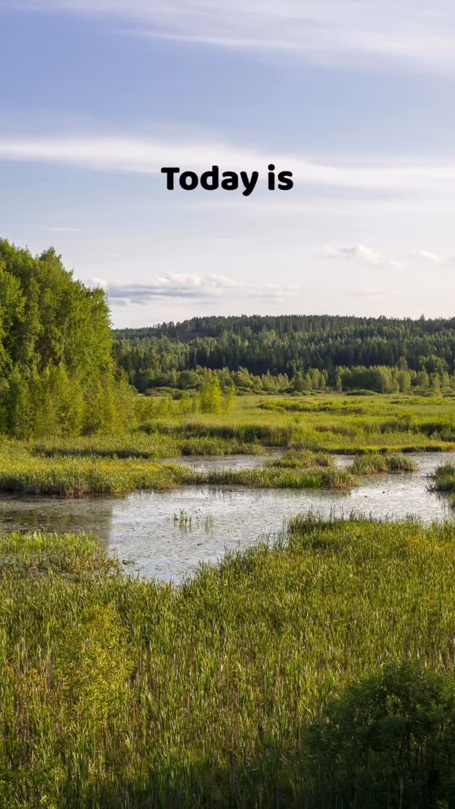 Today is World Wetlands day! Wetlands are one of the most productive ecosystems of Earth, let’s help protect them for the benefit of all!
#nature #wetlands #worldwetlandsday #healthyecosystem #biodiversity