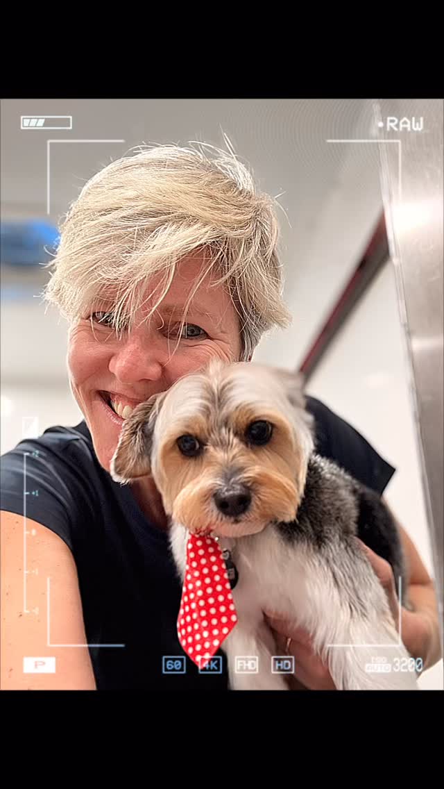 My beautiful, sweet, little Rex 💖 #doggrooming #yorkie #yorkiegram #petgrooming