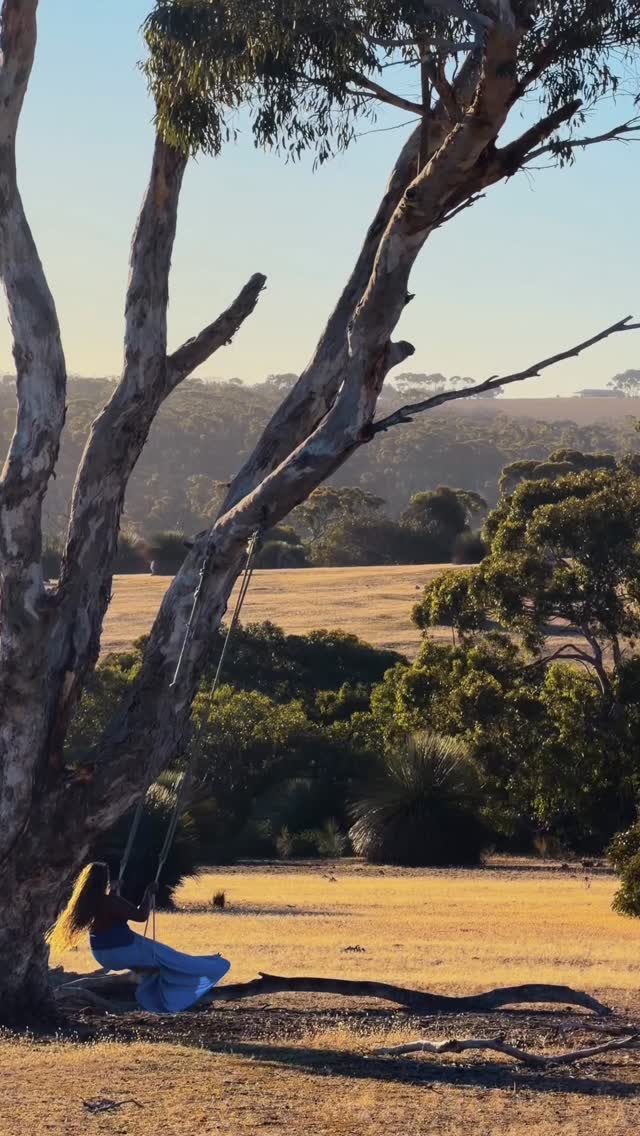 The Kangaroo Island + Adelaide Itinerary you need to steal #UnitedPartner
Especially now because @united is flying from San Francisco to Adelaide 3x a week!
@southaustralia
Stay: Ecopia Retreats @ecopiaretreat
Do:
- Visit Emu Bay Lavender Farm for lavender treats and scones
- Take the Island Life Tour with Exceptional Kangaroo Island Life to spend the day gazing
up at koalas, lunch at a private bush camp, and visit the Seal Bay Conservation
- Fine Flavours tour with Exceptional Kangaroo- stopping in at:
- Kangaroo Island Distillery
- Clifford Honey Farm
- Kangaroo Island Oyster Farm
- The Islander Estate Vineyards
- Dinner at Tirage
Adelaide:
Stay: Adelaide Marriott Hotel
Do:
- Adelaide Central Market Tour with Flamboyance Tours
- Get on the wild side with Adelaide Oval Roof Climb
- Wine tasting at the gorgeous Penfolds Estate
- Visit the Art Gallery of South Australia
Eat:
- Brunch at Peter Rabbit Garden Cafe (order the french toast!)
- Lunch at 2KW Bar and Restaurant
#SeeSouthAustralia