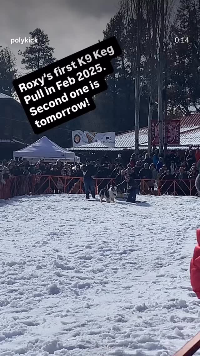 Not a Dogpac event, but always fun to watch. Saturday Feb 7th, in Sunriver.