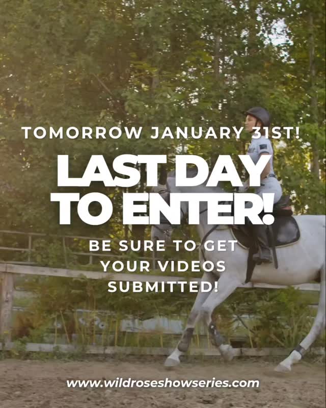 π Weβre starting 2026 out with a BANG! π
Our January Show has already received almost 50 entries!! π€―π
We are SO thankful for every rider who entered! Your participation is what brings the excitement, competition, and fun to these virtual shows! The amazing number of entries allows us to keep running this show for you and work more on continuing to grow it for you!
β° Reminder:
β¨ Entries close TOMORROW
π₯ All videos must be submitted by MIDNIGHT on January 31st
If youβve been on the fenceβ¦ this is your sign π
Letβs kick off 2026 strong together! πͺβ¨ Grab your horse and your phoneπ±and video your ride to get your entry in!
Thank you all for the supportβyou truly make this community amazing! π
#VirtualHorseShow #EquestrianLife #OnlineCompetition #HorseRiders