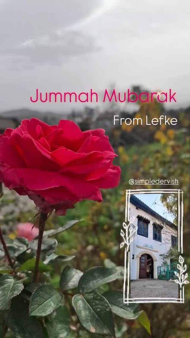 Jummah Mubarak everyone
May this coming Ramadan be blessed for everyone and may those who wish to come to Lefke, have the possibility to do so with ease.
We're here to help every step of the way. We're not only Simple but also authentic.
.
.
.
#lifeinlefke #naqshbandi #mawlanasultan #islamictravel #muslimtravelers