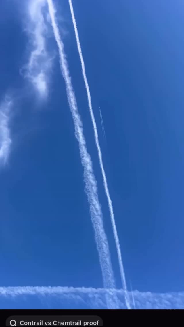 📅 March 20 | 14:46 UTC
At the same moment worldwide,
we blow a blue balloon,
tie it with a long string,
and raise it to the sky (without releasing it)
Share the video.
Print the poster.
Spread it everywhere.
One global human moment,
for the future of all of us.
Stop the chemtrails. Now.
Download and share
👉 bit.ly/BlowBlueBalloon
#blowblueballoon #wethepeople chemtrials