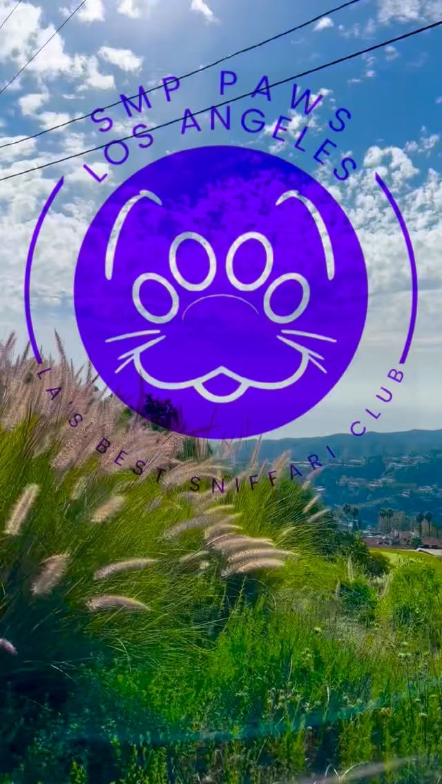 Sniffing our way through LA’s best trails! 🐾🌿
#SniffariAdventure #PawtyInLA #TrailTails #sniffari #sniffariclubla sniffariclub sniffaritime sniffarihike laexcursions excursionsfordogs santamonicamountains