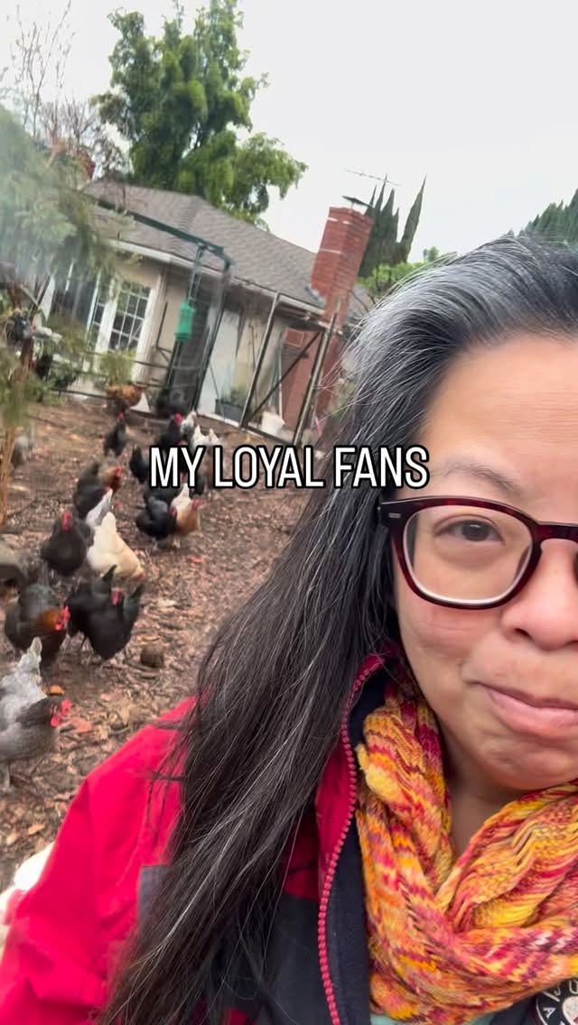 Do you have a loyal fan base? I do! 😂 The dinobeasts make me feel like a rockstar everyday. Maybe this is similar to what Bad Bunny eggsperiences, especially after his remarkable Grammy wins and Super Bowl performance. “The Only Thing More Powerful Than Hate Is Love.”
#lovetrumpshate #loveislove #strongertogether❤️ #loveispower