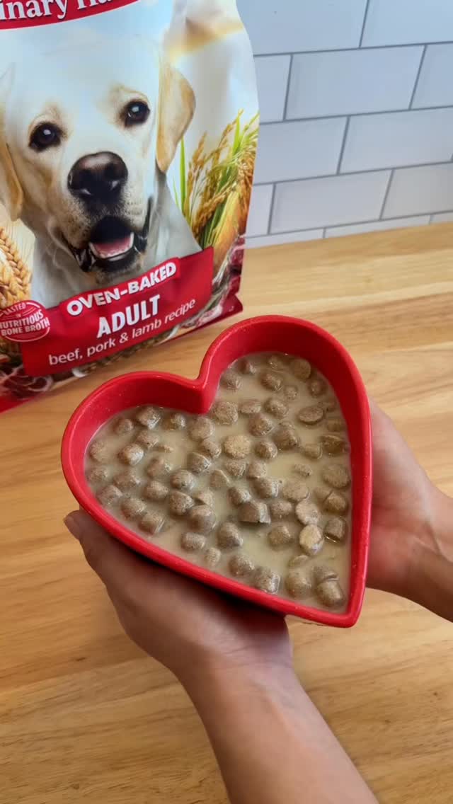 ♥️NUtrition meets LOve♥️
This February meet our Brand of the Month: Nulo 🎉
Featuring Culinary Harvest a brand new baked kibble! And we have some great in-store coupons all month long!
🐾 Stop by IB Pet, check out the display, and save while February lasts! #ibpet #dogsofsandiego #catsofsandiego #nulopetfood
