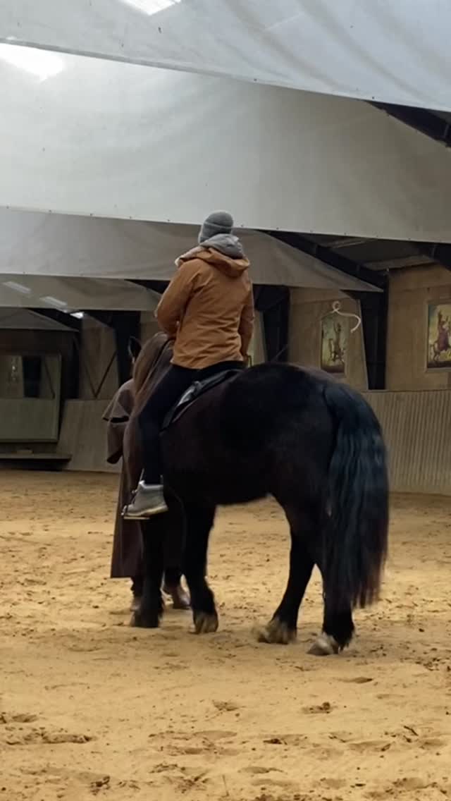 Lo que siempre me fascina es lo diferentes que son los caballos y cómo se les puede tratar dentro de sus personalidades en un marco respetuoso y cariñoso, independientemente de su procedencia, sus habilidades, su raza y su edad. Aquí, en Dinamarca, aprendo poco a poco lo que significa entrenar y apoyar a un caballo según sus habilidades. Las herramientas que necesito para ello son tan complejas que sé que nunca dejaré de aprender durante toda mi vida.
Gracias por todas estas oportunidades!!
#doma #respecto #etica #caballosbailadores #arte