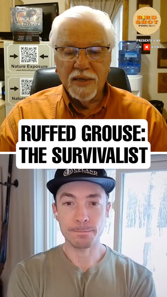 Grouse escape before the hunt begins.
In this episode of The Birdshot Podcast, host @nilarson13 invites guest Tim Flanigan to explore the survival strategies and selective pressures that shape upland bird hunting and conservation.
🎧 Listen to the full episode, link in bio
#grousehunting #uplandbirds #wildlifebiology #conservationhunting #grousefacts #birdbehavior #fieldcraft #huntingethics #ruffedgrouse