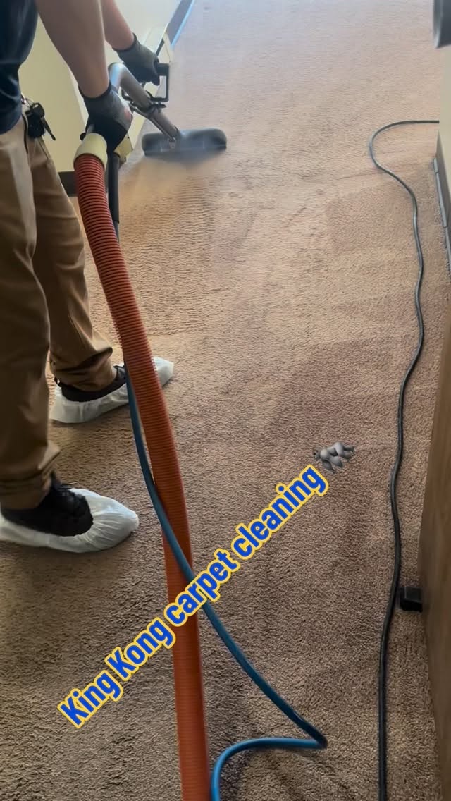 #carpetcleaning #steamcleaning #rugcleaning #fyp