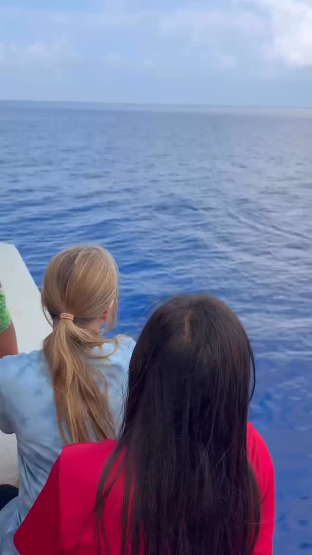 We love hearing these Keiki’s reaction on their whale watch with Pacific Whale Foundation! Nothing better than the sounds of their laughter and excitement! Stoked to be a part in making these memories happen for the local kids 🤙🏼❤️
Happy Valentines Day!
#mauiponofoundation #communityhelpingcommunity #happyvalentinesday